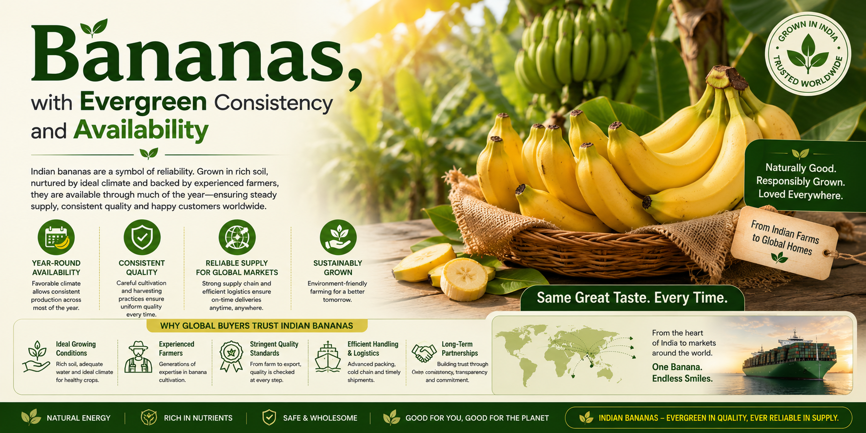 Indian bananas for export — evergreen consistency and year-round availability for international buyers