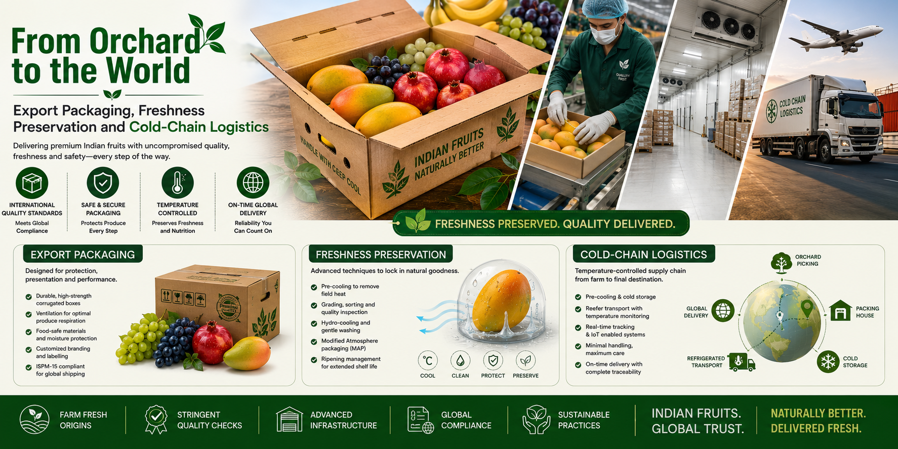 Export packaging, freshness preservation and cold-chain logistics for organic Indian fruit exports