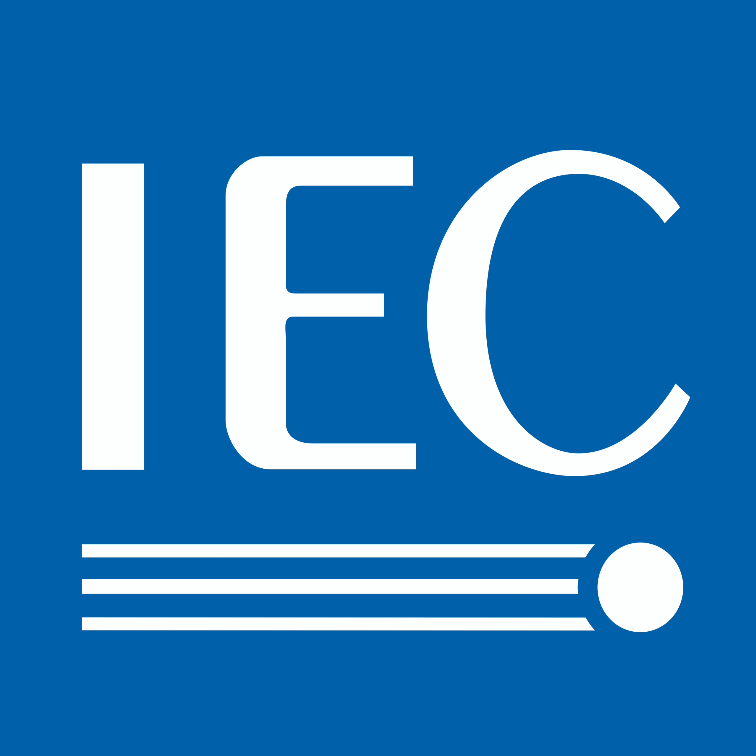 IEC Import Export Code