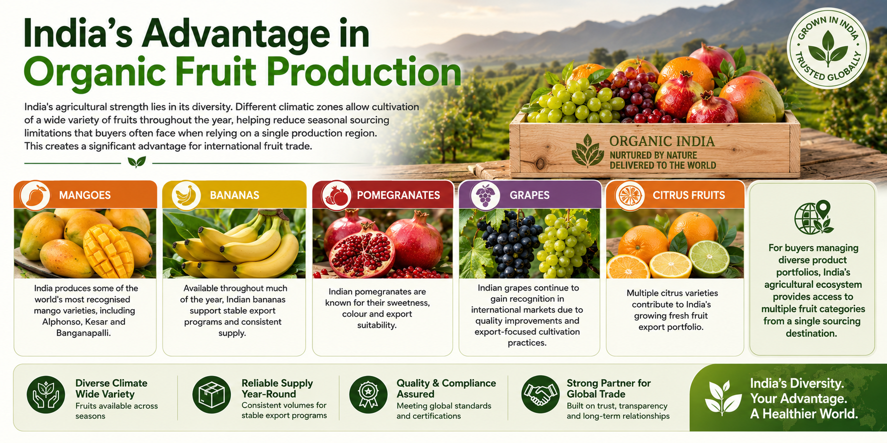 India's advantage in organic fruit production — diverse climates enabling year-round cultivation