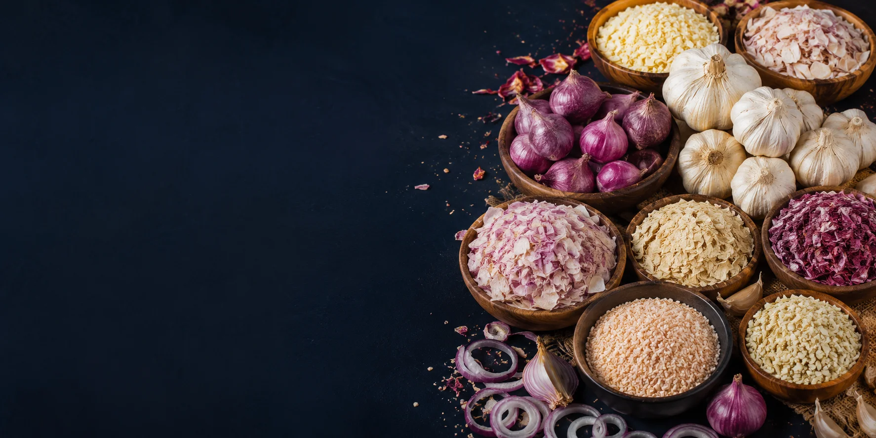 Chirak Exim Dehydrated Products Export — Onion, Garlic, Vegetable and Spice Powder Supplier India